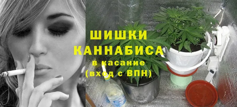 где купить наркоту  Крым  Канабис индика 